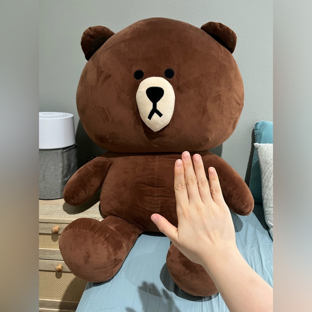 43 in Line Friends Brown Teddy Bear 🧸